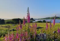 South West Lakes' winning snappers in focus