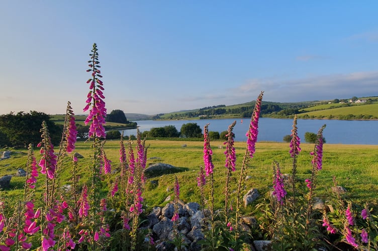 1ST & OVERALL - Mark Fursman - Siblyback