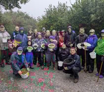 Moor Trees' record seed harvest