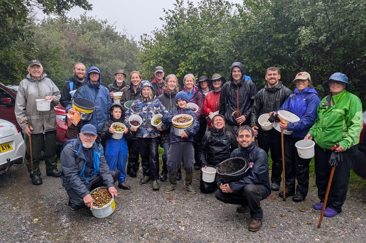 Andrews Wood seed collecting on September 25.