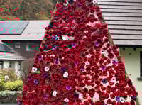 Retirement complex's knitted poppy display unveiled