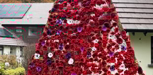 Retirement complex's knitted poppy display unveiled