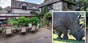 Rhino zoo approved despite sale delay