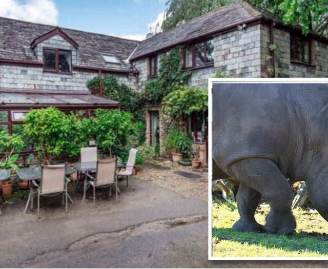 Rhino zoo approved despite sale delay