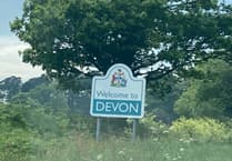 Devon councils in unitary plan dispute