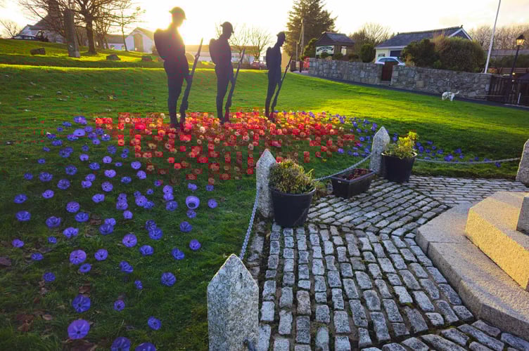 A beautiful remembrance field at Princetown War Memorial for remembrance Sunday. The purple poppies honour animals who died for their country.