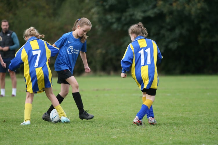 IMG_5328: Tavistock v Alston.