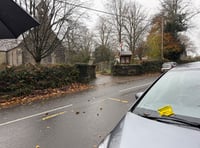 Upset over remembrance parking tickets issued 'in error'