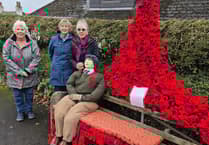 Whitchurch poppy bench tribute to war sacrifice