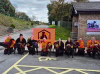 Cats and dogs home winter appeal 