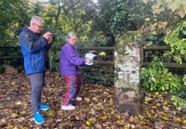 Tavistock Abbey remains surveyed ahead of major project