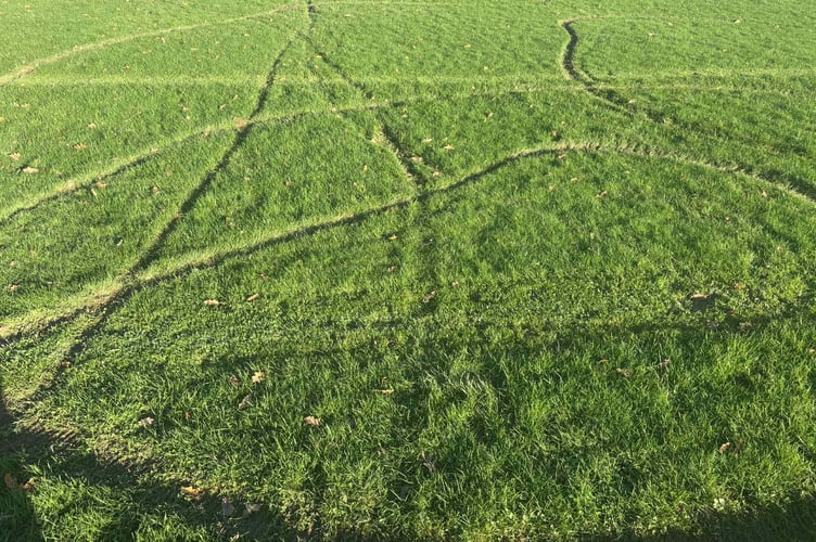 Residents action call after Horrabridge sports field vandalism.