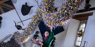 Cotehele's record-breaking garland with 38,000 flowers