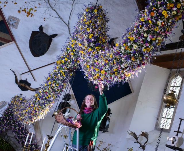 Cotehele's record-breaking garland with 38,000 flowers