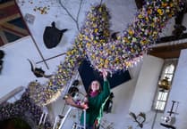 Cotehele's garland sets record for the National Trust site