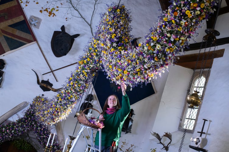 Record-breaking year for Cotehele's famous Christmas Garland
38,000 dried flowers grown, harvested and hand-placed at the National Trust estate in Cornwall
Cotehele celebrates its biggest ever garland, created from 38,000 home-grown flowers
deal growing conditions made 2025 a bumper year for key blooms including paper daisies, bunny tails and statice
Visitors can see the full 60ft garland in the Great Hall daily from Saturday, 22nd November - Monday, 5th January (closed 25th - 26th December), 10.30am - 4pm
Cotehele's celebrated Christmas Garland has reached record heights this year, as gardeners announce a remarkable 38,000 flowers grown, picked, stripped, dried and prepared on site for the 2025 display.
Thanks to a near-perfect spring and summer - with a balanced mix of sunshine, warmth and timely rainfall - the garden team enjoyed one of their most successful growing seasons in decades