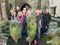 Church Christmas festival trees arrive 