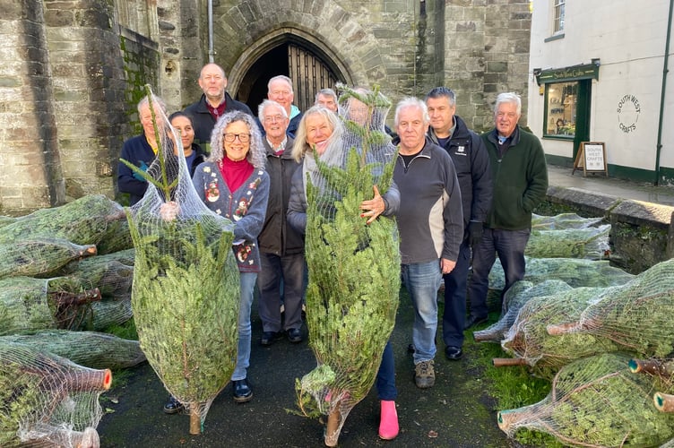 Tavistock parish church volunteers take delivery of a mini-forest of trees to create the Tavistock Christmas Tree Festival - opening on Friday (November 28).