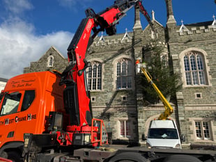 Giant charity tribute Christmas trees arrive 