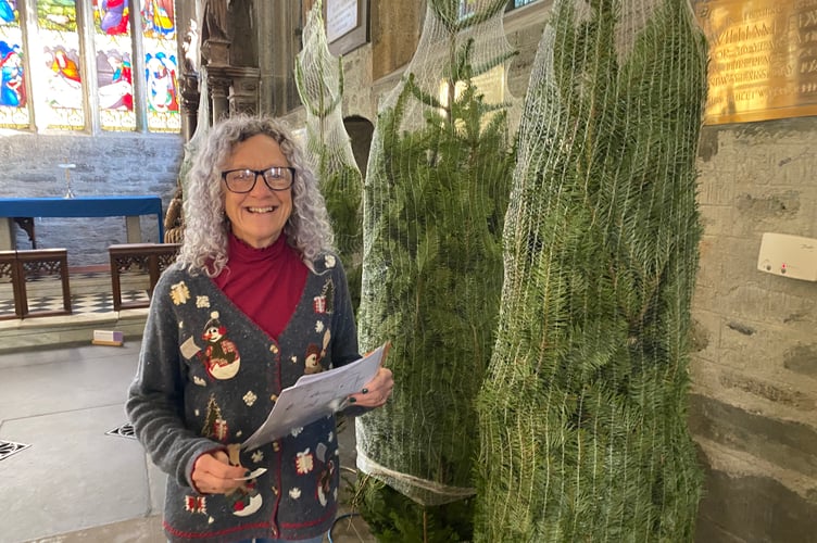 They may be green and bare, but soon these firs will be adorned with festive decorations for Tavistock Christmas Tree Festival in the parish church, from Friday (November 28). Pictured is festival organiser Vanessa Bowles.
