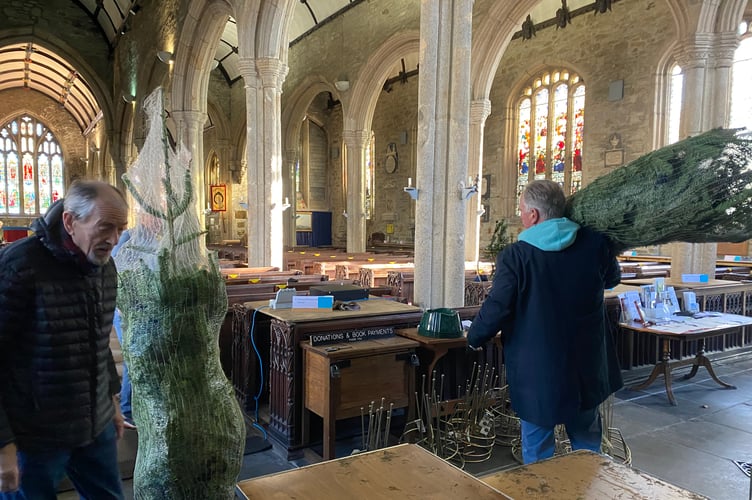Tavistock parish church volunteers take delivery of a mini-forest of trees to create the Tavistock Christmas Tree Festival - opening on Friday (November 28).