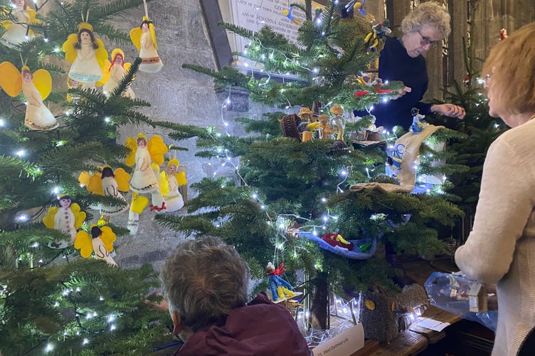 Tavistock Christmas Tree Festival taking shape.