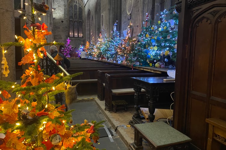 Tavistock Christmas Tree Festival with a golden leaved tree..