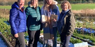 Village community garden wins national award