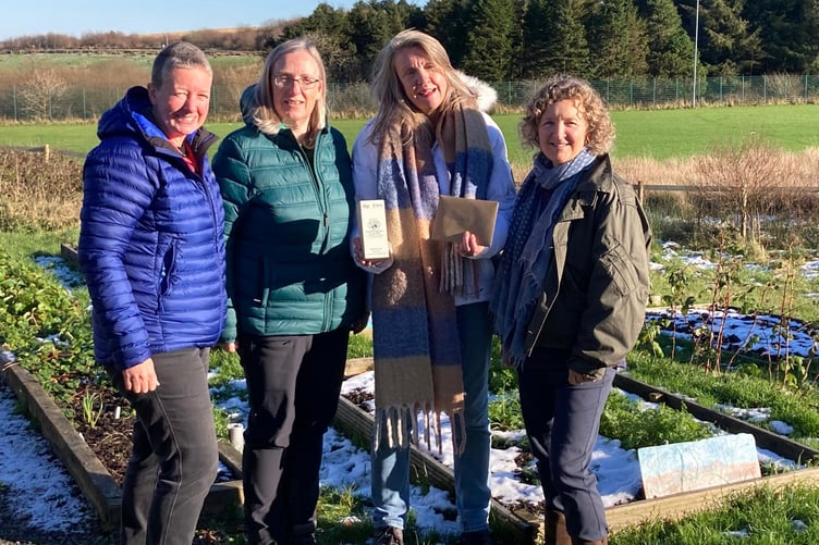 Prize-winning 'plotters' on their Princetown community garden The Plot. Pictured left to right: Lian Edis, Helena Drawer, Hazel Williams and Jane Kingett.
