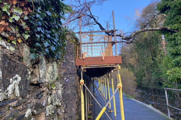 A West Devon Borough Council works team is rebuilding the riverside wall after removing damaging trees.