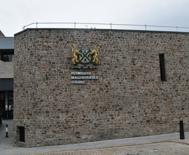 Tavistock man to appear in court