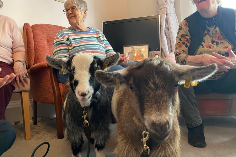 Abbeyfield's Drake Lodge residents  Sheila Wallace and Jenny Eglington welcome two four-legged guests - Robbie and Ronnie the pygmy goats. 