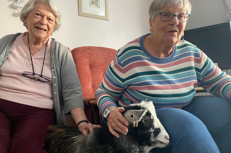 Abbeyfield's Drake Lodge residents  Sheila Wallace and Jenny Eglington welcome two four-legged guests - Ronnie the pygmy goat. 
