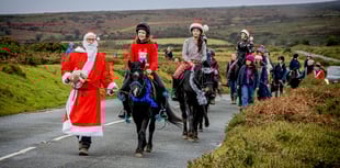 Friends of the Dartmoor Hill Pony to ride out on charity hack