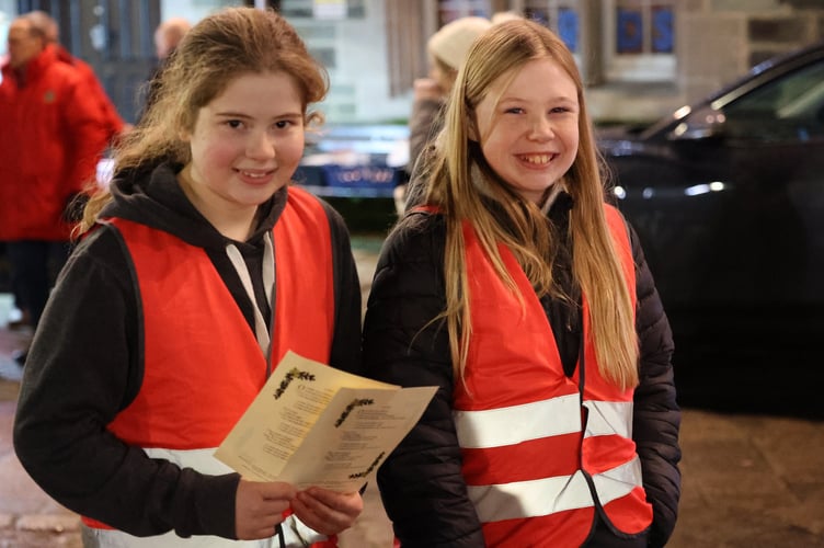 Tavistock Lions Trees of Light. Chris Cotterell