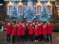 Trees of Light switched on