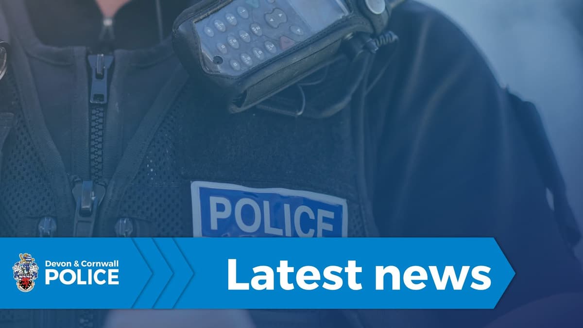 Polizei löste nächtliche Rave-Party in Dartmoor auf
