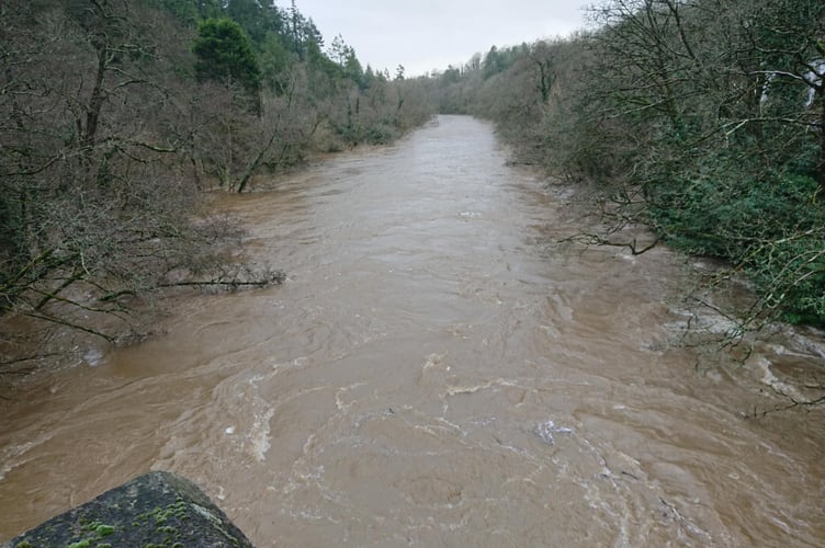 Helen Jackson, Dartmoor Photographer.