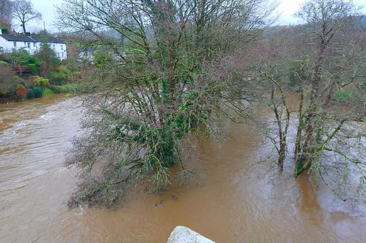 The River Tamar burst its bank at New Bridge, Gunnislake, last night after Storm Bram's heavy rain. Picture by Helen Jackson, Dartmoor Photographer.