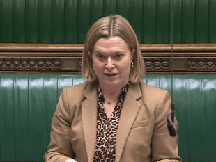 MP slams railway plan