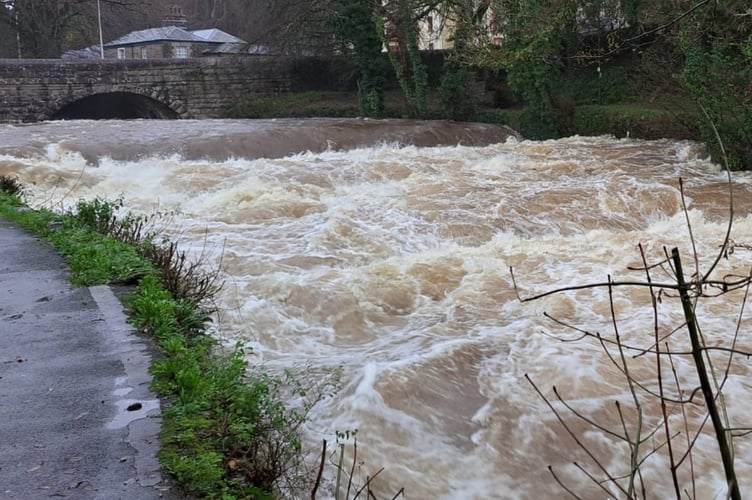 The River Tavy is surging in Tavistock after Storm Bram. Picture by Veronica Aston.