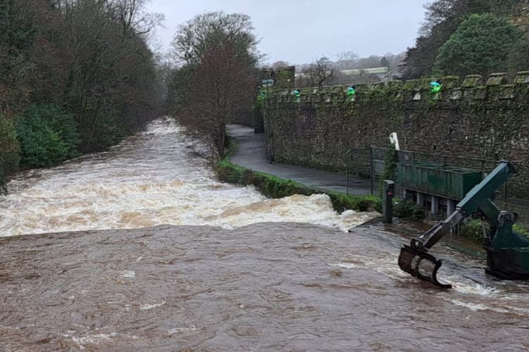 The River Tavy is surging in Tavistock after Storm Bram. Picture by Veronica Aston.