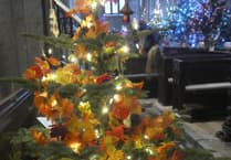 Tavistock church Christmas tree festival attracts thousands