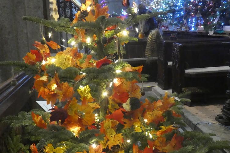 Over all Winner - St Paul's Church Gulworthy with their tree celebrating God's gift of woodland and nature.