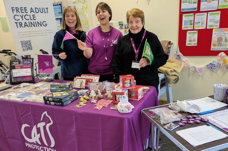 Christmas, carols and cats at Tavistock Library.
