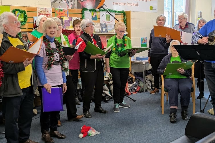 Christmas, carols and cats at Tavistock Library.