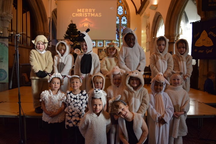 Charming angels and sheep from the Nativity of St Andrew's Primary School, Buckland Monachorum.