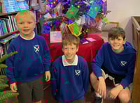 Buckland Monachorum school celebrates Christmas tree win