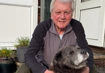 Tavistock Hospital urgent care staff praised