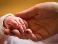Births in the Royal Devon University Healthcare Trust rose by a fifth
